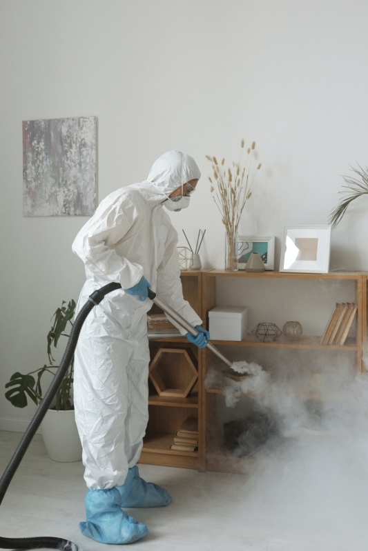 Sanitização de Ambientes Profissional