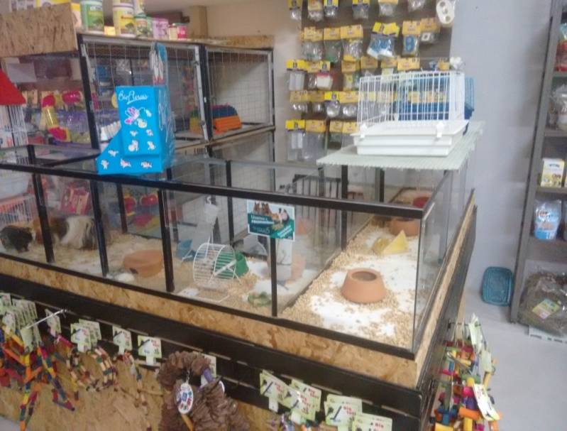 Serviço de Pet Shop para Gatos e Cachorros