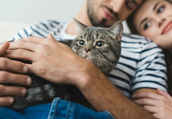 Serviço Veterinário de Gato e Cachorro