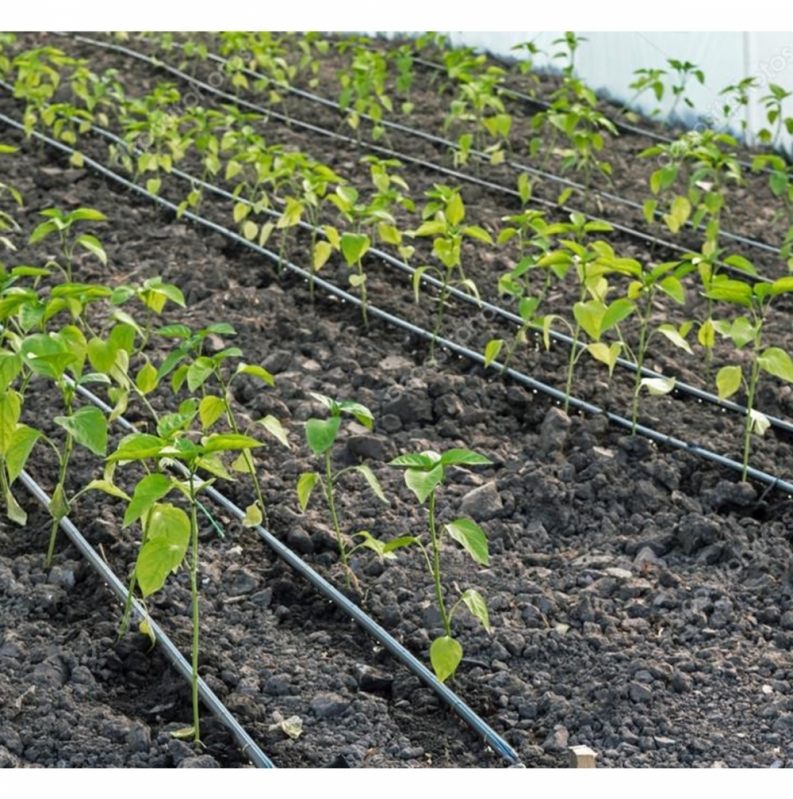 Sistema de Irrigação Automático