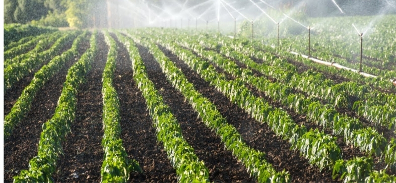 Sistema de Irrigação por Microaspersão