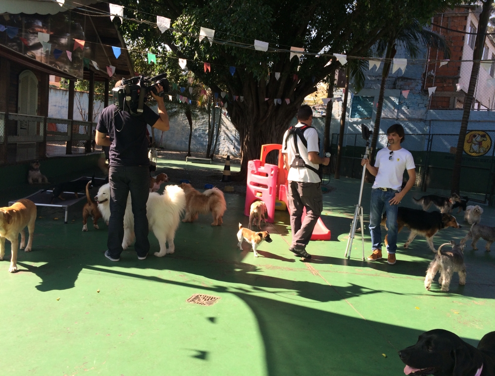 Spa e Day Care para Cães