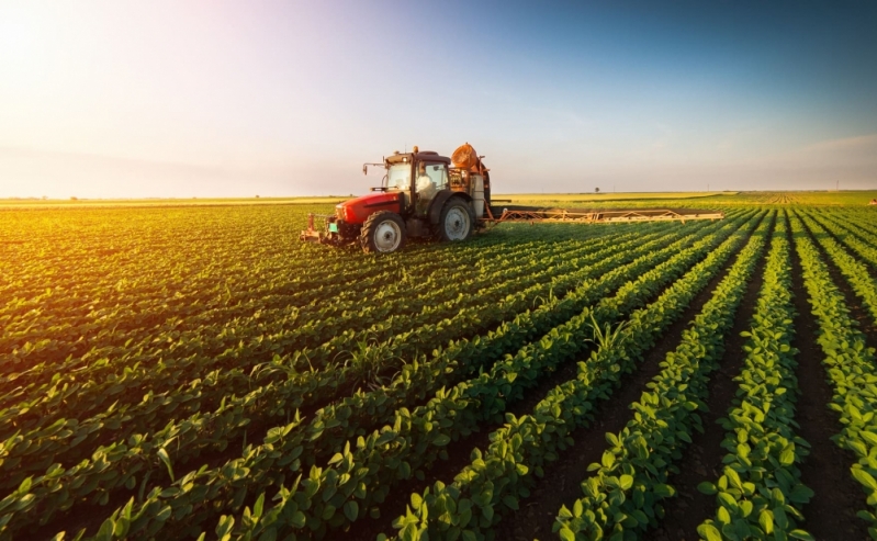 Técnico em Agronegócio Ead