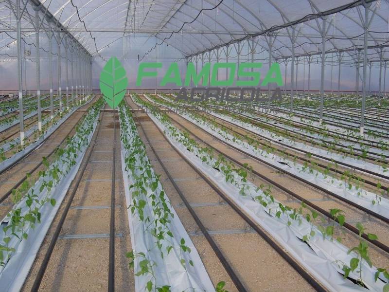 Tela Agrícola Mini Túnel para Plantas