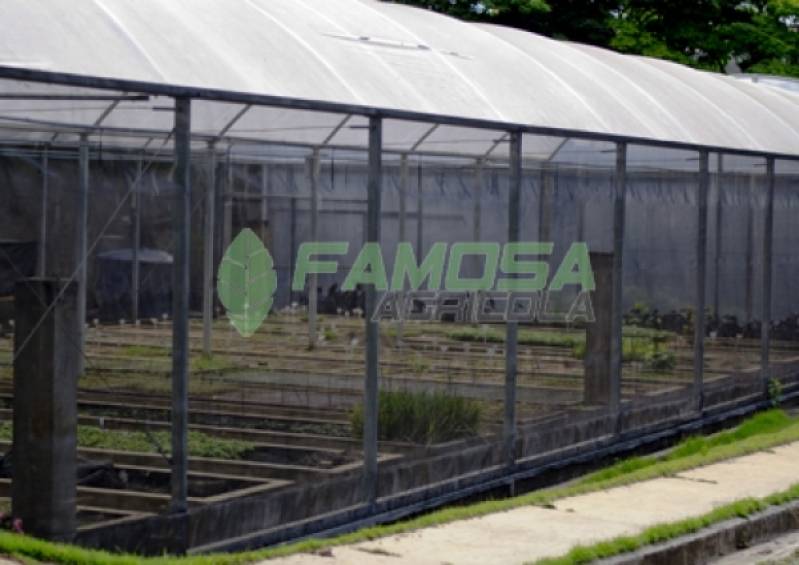 Tela Agrícola Preta para Alface