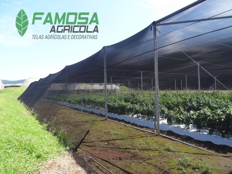 Tela Agrícola Preta para Estufa