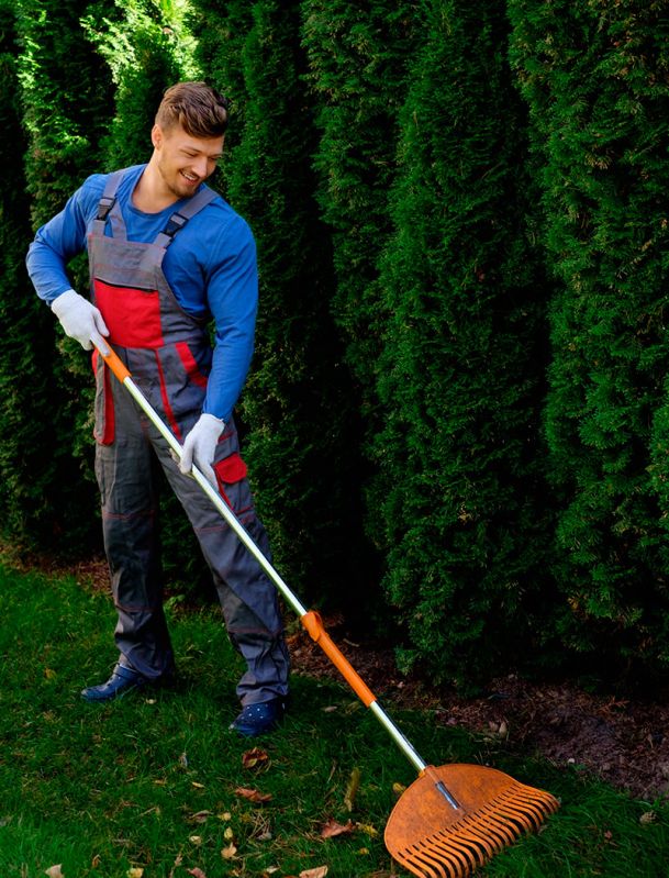 Terceirização de Jardinagem em Guarulhos