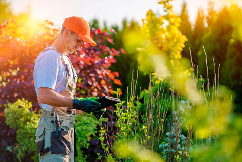 Terceirização de Jardinagem na Zona Sul