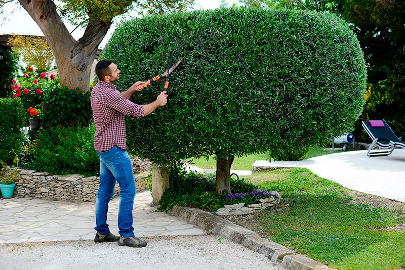 Terceirização de Jardinagem