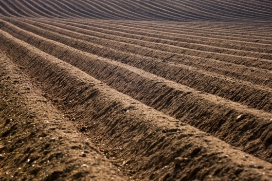 Terra Adubada para Plantas