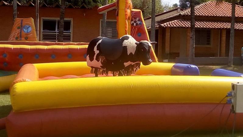 Touro Mecânico para Festa Infantil