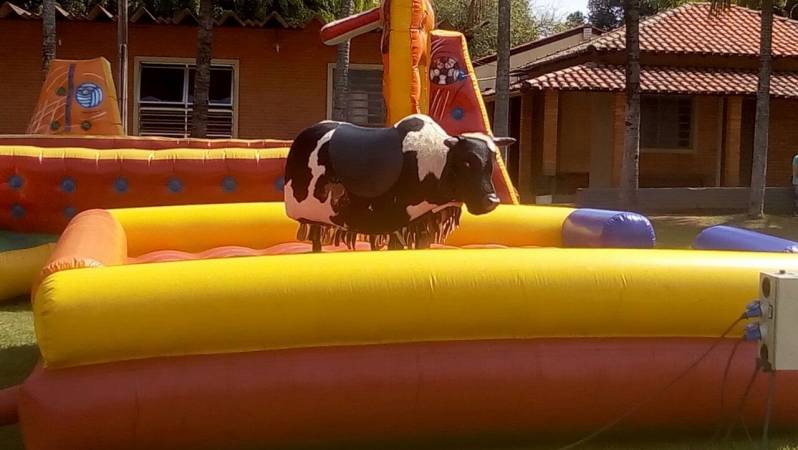 Touro Mecânico para Festa Infantil