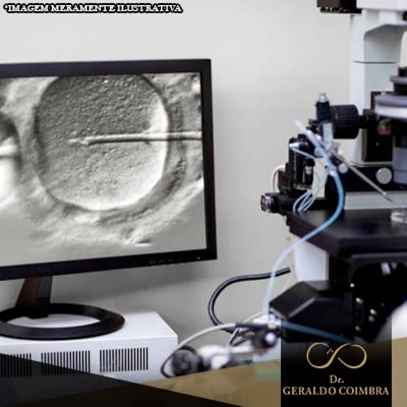 Tratamento de Infertilidade Fertilização In Vitro