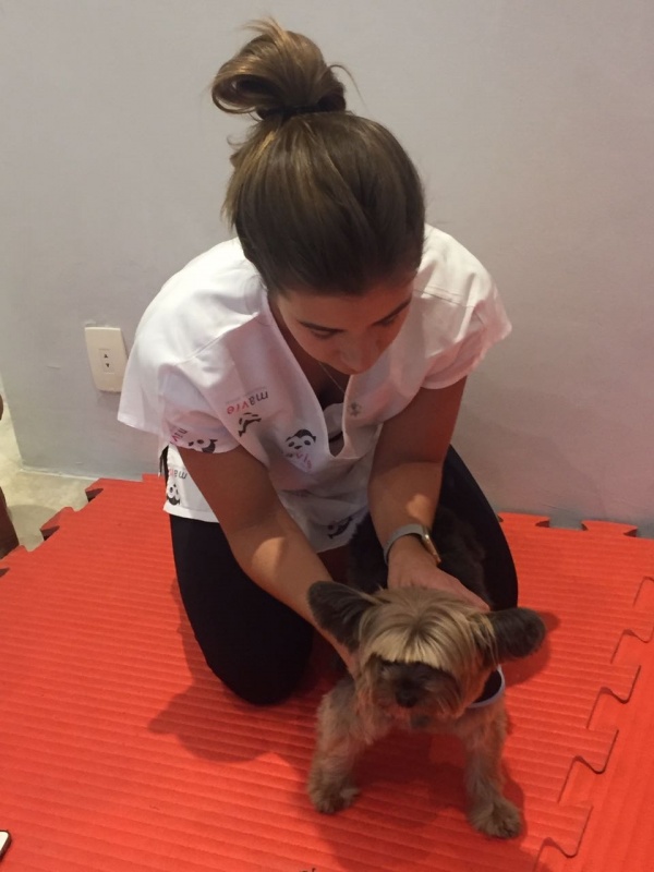 Tratamento para Coluna em Cães