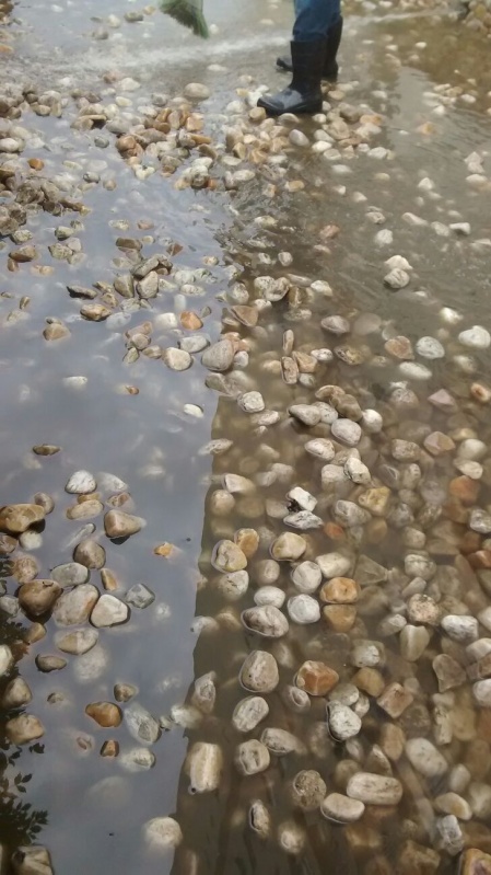 Tratamento para Piscina Que Não Esquenta