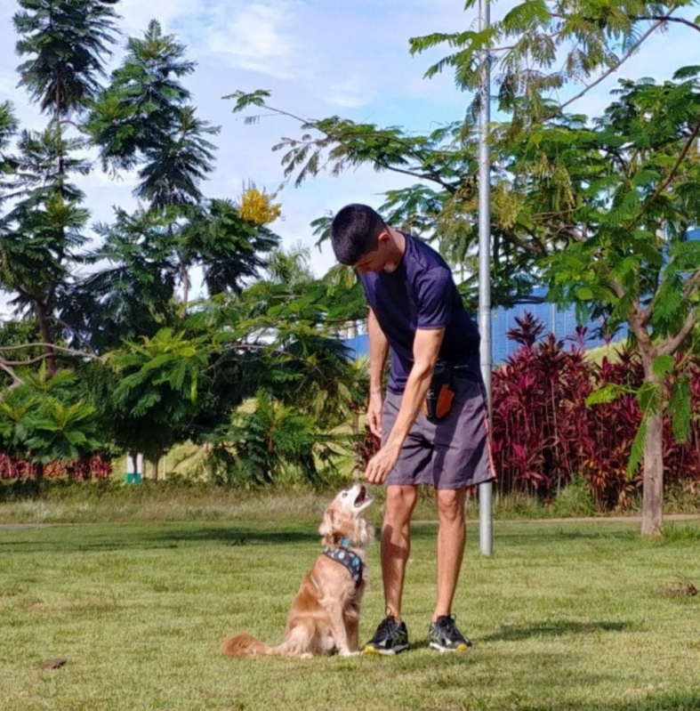 Treinamento Canino