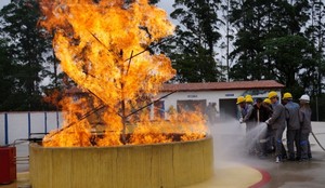 Treinamento de Brigadistas para Combate a Incêndio