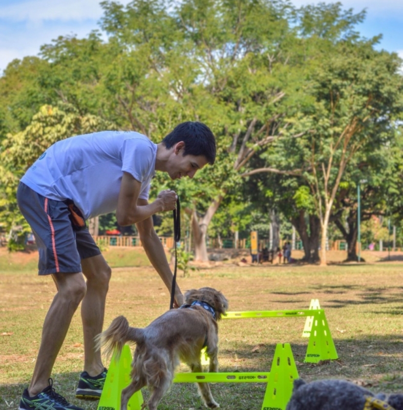 Treinamento de Cachorro Filhote Online