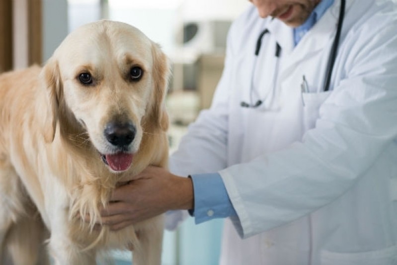 Vacina Giardíase Canina