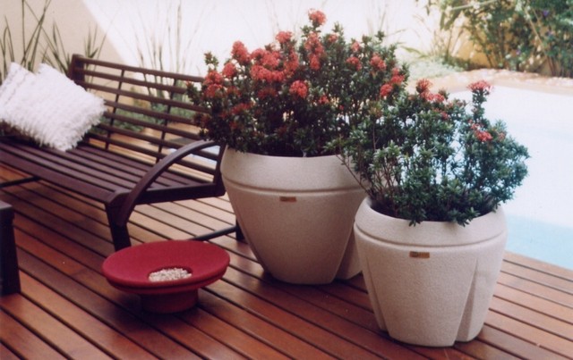 Vaso de Cimento Bonsai