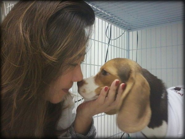 Veterinário para Vila Lata