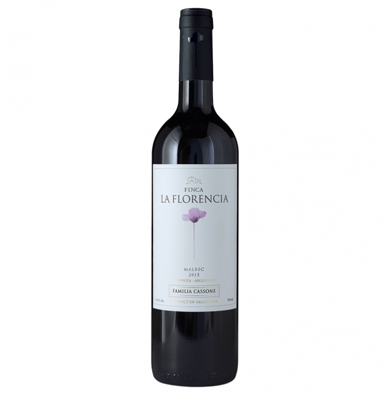 Vinho Malbec Argentino