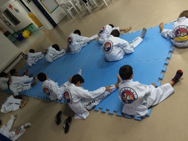 Aula de Taekwondo para Iniciantes