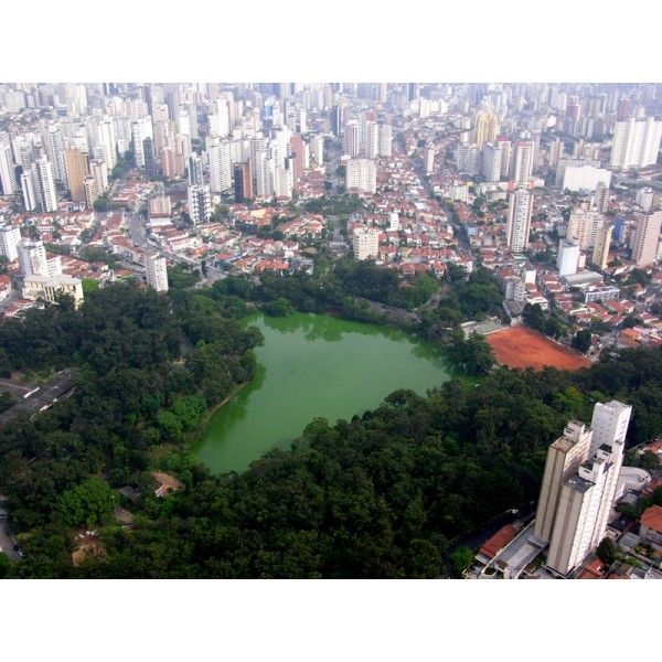 Aulas para Habilitados em São Paulo