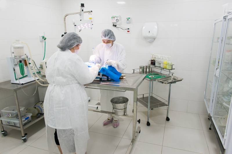 Centro Cirúrgico Veterinário para Castração de Animais