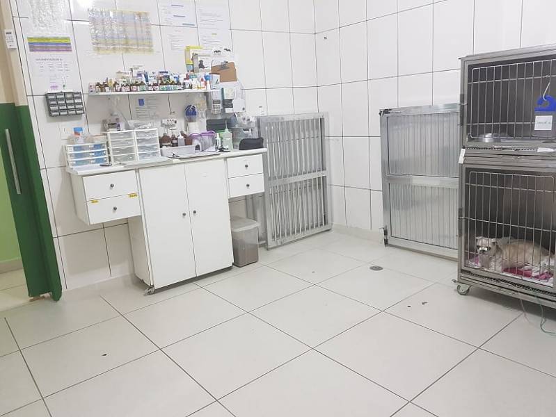 Clínica de Veterinária