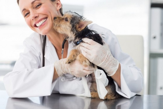 Clínica Veterinária com Vacina para Cães e Gatos