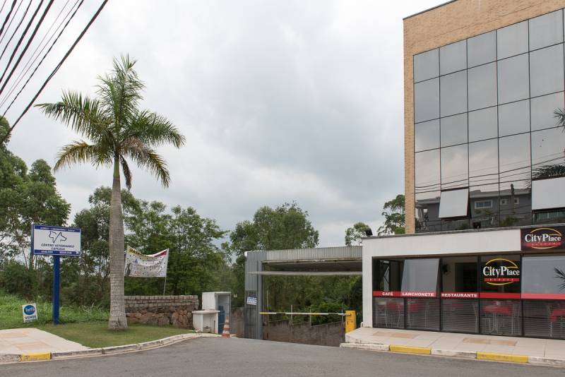 Hospital Veterinário para Cachorro