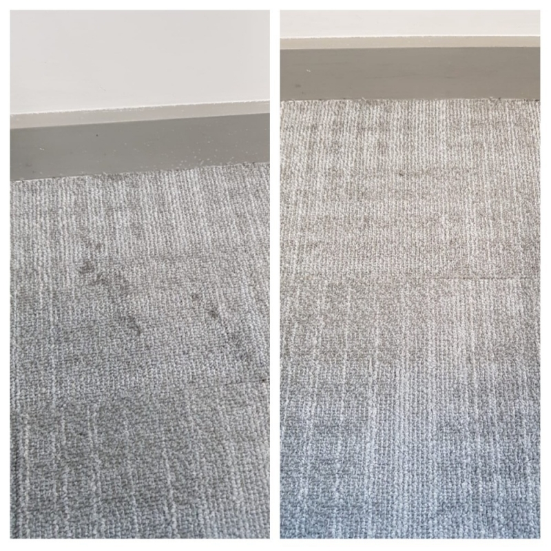 Limpeza e Higienização de Carpete