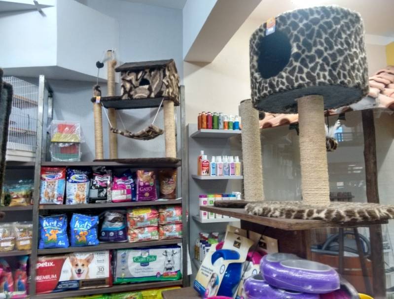 Pet Shop para Dar Banho