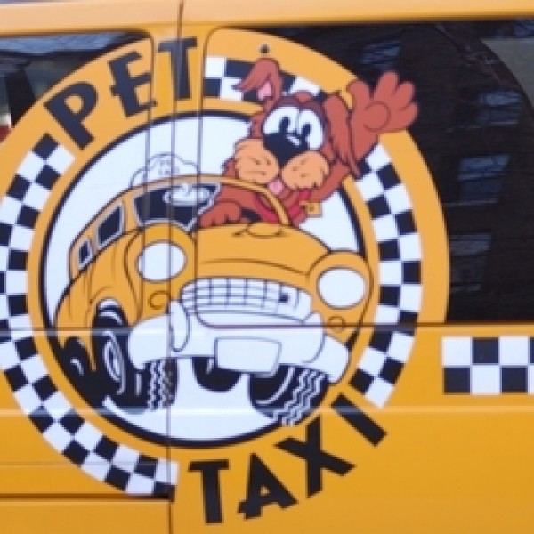Pet Táxi na Saúde