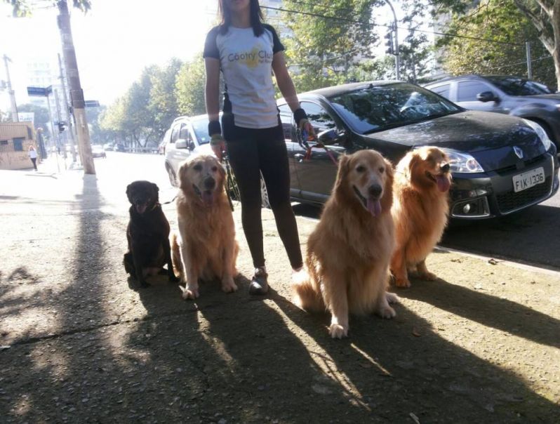 Serviço de Hotel para Cachorro