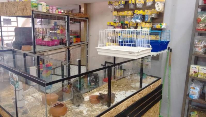 Serviço de Pet Shop para Animais Filhotes