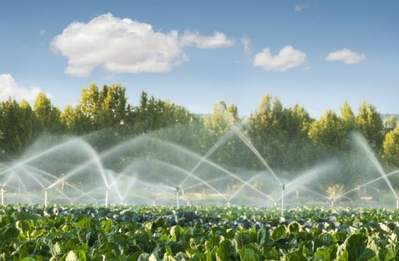 Sistema de Irrigação para Horta