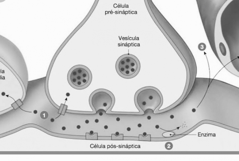 Toxina Botulínica Clinica