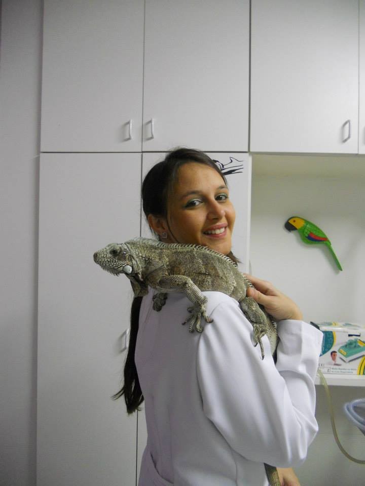 Veterinário para Agoporis